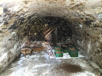 Prodej domu 319 m², Moravský Krumlov