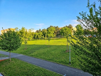 Prodej bytu 4+1 v družstevním vlastnictví 83 m², Most