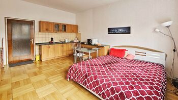 Pronájem bytu 1+kk v družstevním vlastnictví 27 m², Brno