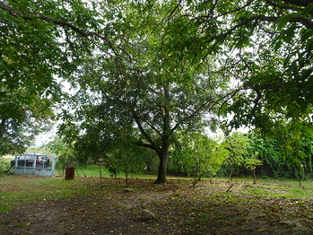 Prodej domu 150 m², Znojmo