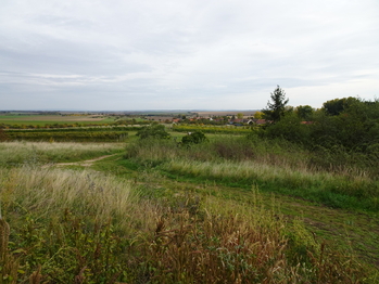 Prodej domu 150 m², Znojmo