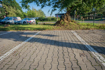 Pronájem bytu 1+kk v osobním vlastnictví 55 m², Hradec Králové