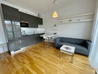 Pronájem bytu 1+kk v osobním vlastnictví 34 m², Praha 10 - Vinohrady