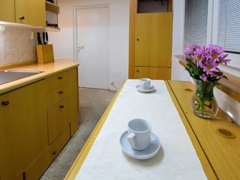 Pronájem bytu 2+1 v osobním vlastnictví 53 m², Brno