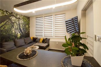 Pronájem bytu 1+1 v osobním vlastnictví 38 m², Tábor