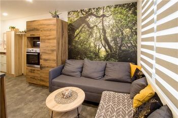 Pronájem bytu 1+1 v osobním vlastnictví 38 m², Tábor