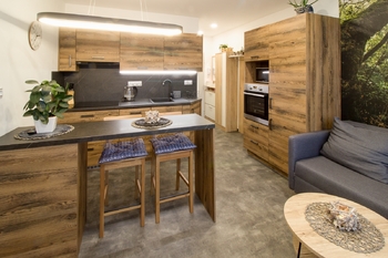 Pronájem bytu 1+1 v osobním vlastnictví 38 m², Tábor