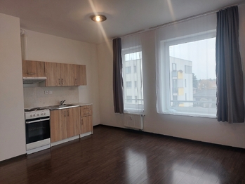 Pronájem bytu 1+kk v osobním vlastnictví 42 m², Velký Osek