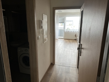 Pronájem bytu 1+kk v družstevním vlastnictví 42 m², České Budějovice