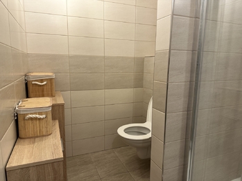 Pronájem bytu 1+kk v družstevním vlastnictví 42 m², České Budějovice
