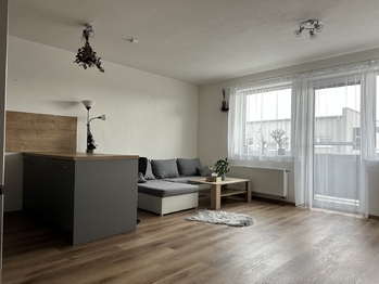 Pronájem bytu 1+kk v družstevním vlastnictví 42 m², České Budějovice