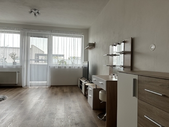 Pronájem bytu 1+kk v družstevním vlastnictví 42 m², České Budějovice