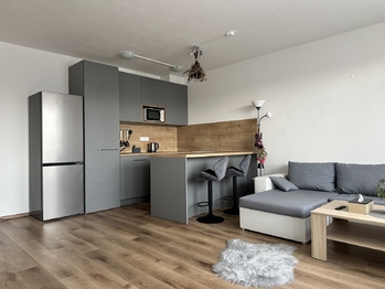 Pronájem bytu 1+kk v družstevním vlastnictví 42 m², České Budějovice
