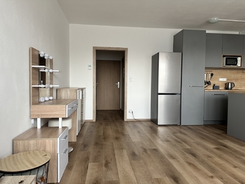 Pronájem bytu 1+kk v družstevním vlastnictví 42 m², České Budějovice