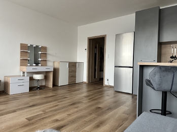 Pronájem bytu 1+kk v družstevním vlastnictví 42 m², České Budějovice