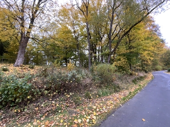 Prodej pozemku 2385 m², Milhostov