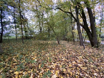 Prodej pozemku 2385 m², Milhostov