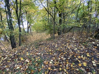 Prodej pozemku 2385 m², Milhostov