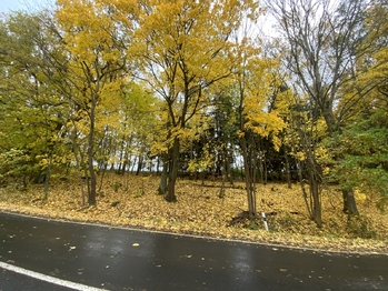 Prodej pozemku 2385 m², Milhostov