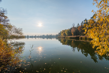 Prodej chaty / chalupy 30 m², Zruč-Senec