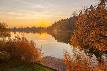 Prodej chaty / chalupy 30 m², Zruč-Senec