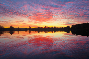 Prodej chaty / chalupy 30 m², Zruč-Senec