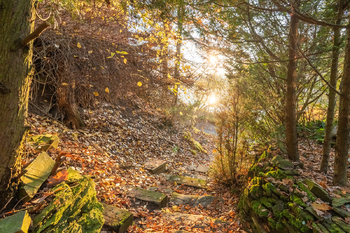 Prodej chaty / chalupy 30 m², Zruč-Senec