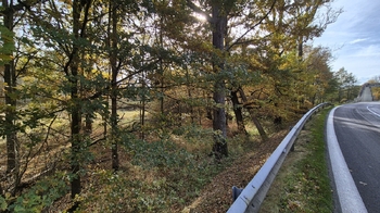 Prodej pozemku 2859 m², Halámky