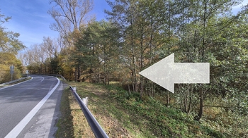 Prodej pozemku 2859 m², Halámky