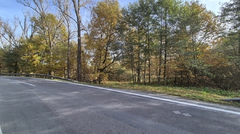 Prodej pozemku 2859 m², Halámky