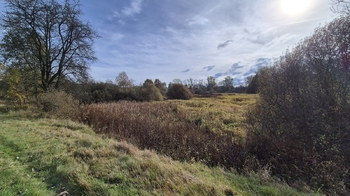 Prodej pozemku 2859 m², Halámky