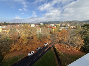 výhled z jídelny - Prodej bytu 2+1 v osobním vlastnictví 64 m², Mariánské Lázně