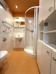 koupelna - Prodej bytu 2+1 v osobním vlastnictví 64 m², Mariánské Lázně