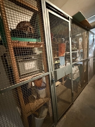 sklepní kóje - Prodej bytu 2+1 v osobním vlastnictví 64 m², Mariánské Lázně
