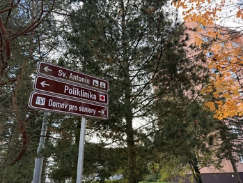 okolí domu - Prodej bytu 2+1 v osobním vlastnictví 64 m², Mariánské Lázně