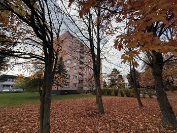 okolí domu - Prodej bytu 2+1 v osobním vlastnictví 64 m², Mariánské Lázně