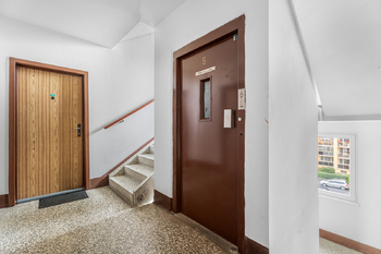 Prodej bytu 3+1 v osobním vlastnictví 1475 m², Česká Lípa