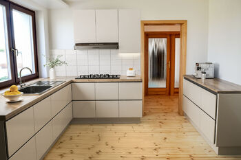 vizualizace kuchyň - Prodej domu 280 m², Řepov