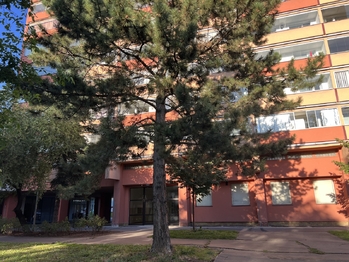 bytový dům - Prodej bytu 1+1 v osobním vlastnictví 40 m², Praha 8 - Střížkov