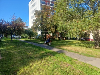 Prodej bytu 2+kk v osobním vlastnictví 41 m², Brandýs nad Labem-Stará Boleslav