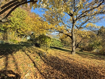 Prodej pozemku 823 m², Žitenice