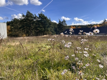 Prodej pozemku 723 m², Radošovice