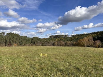 výhled z pozemku - louky a lesy - Prodej pozemku 723 m², Radošovice
