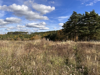 Prodej pozemku 723 m², Radošovice