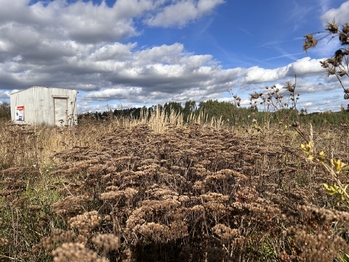 Prodej pozemku 723 m², Radošovice