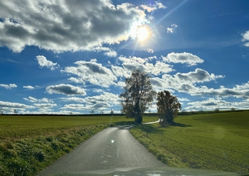 Vaše nová cesta domů - Prodej pozemku 723 m², Radošovice