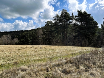 Prodej pozemku 723 m², Radošovice