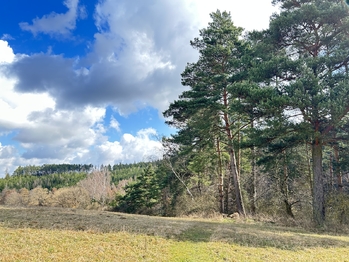 Prodej pozemku 723 m², Radošovice