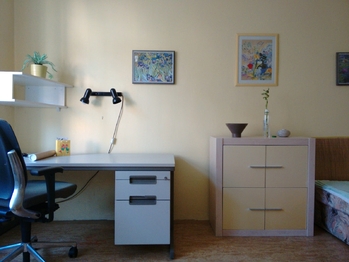 Pronájem bytu 1+kk v osobním vlastnictví 30 m², Praha 7 - Holešovice