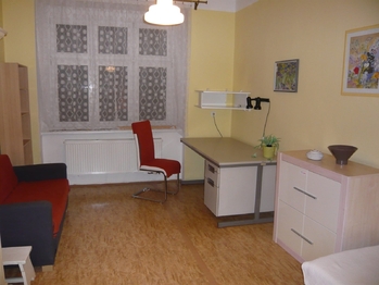Pronájem bytu 1+kk v osobním vlastnictví 30 m², Praha 7 - Holešovice